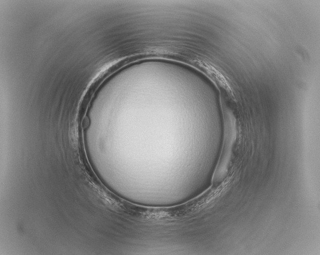 X0000116430784200912221504