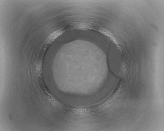 X0000116430785200912221504