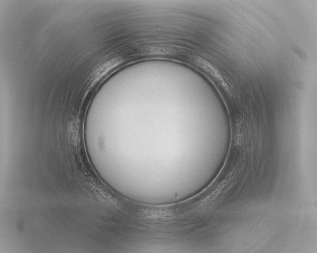 X0000116430786200912221504