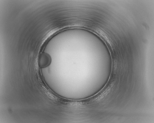 X0000116430789200912221504