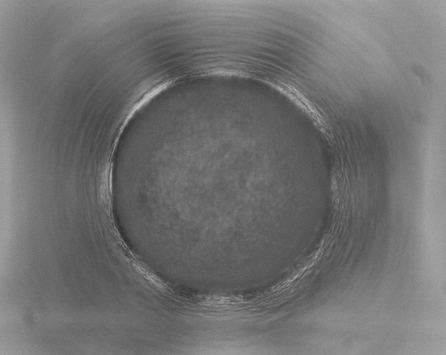 X0000116430790200912221504