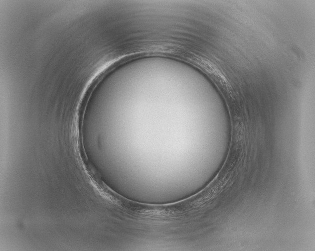 X0000116430792200912221504