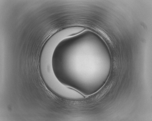 X0000116430793200912221504