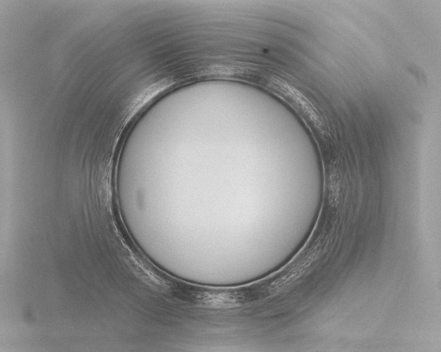 X0000116430794200912221504