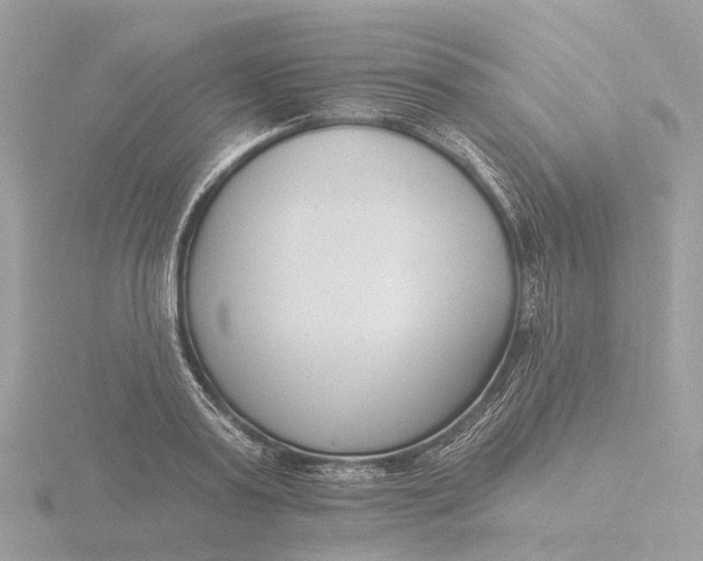 X0000116430795200912221504