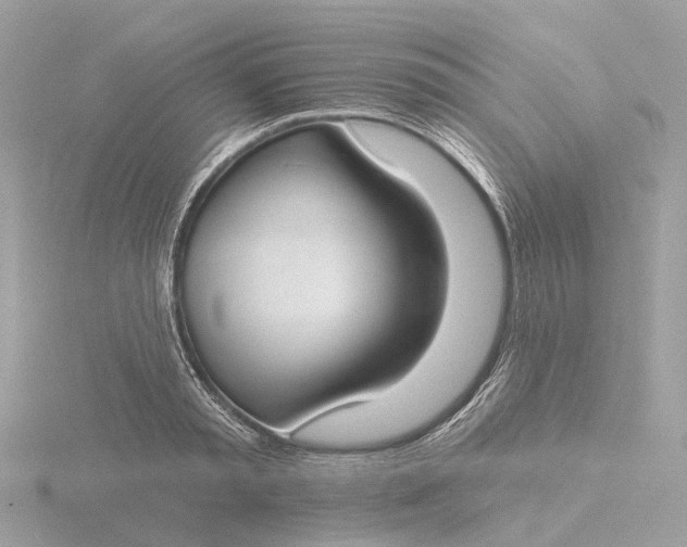 X0000116430797200912221504