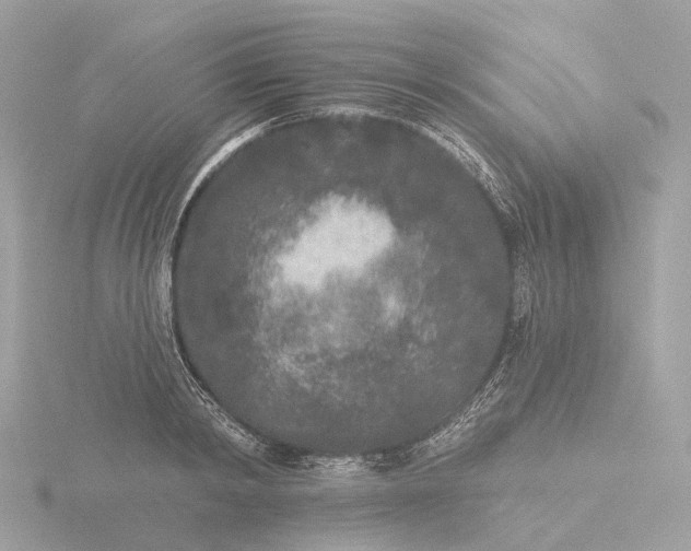 X0000116430798200912221504