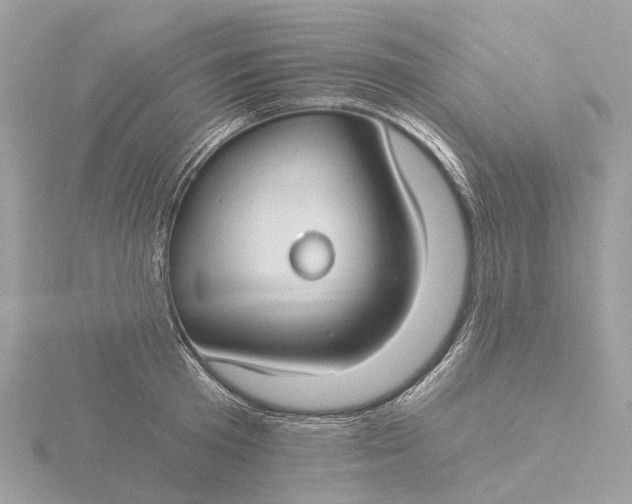 X0000116430801200912221504