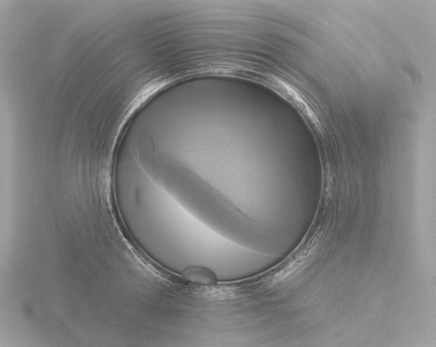 X0000116430802200912221504