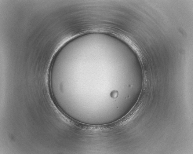 X0000116430803200912221504