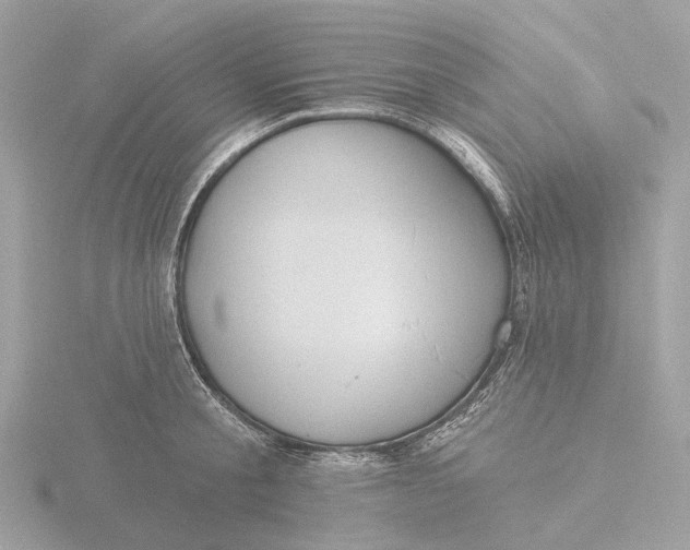 X0000116430805200912221504