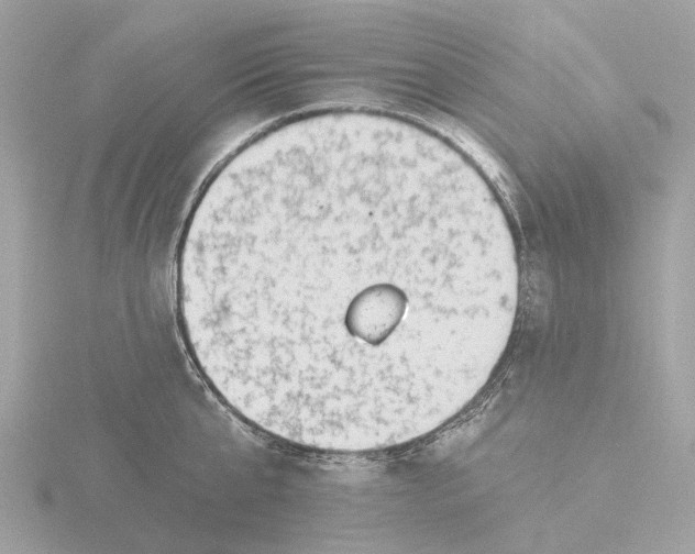 X0000116430807200912221504