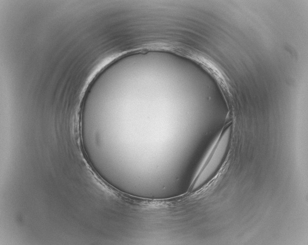 X0000116430808200912221504