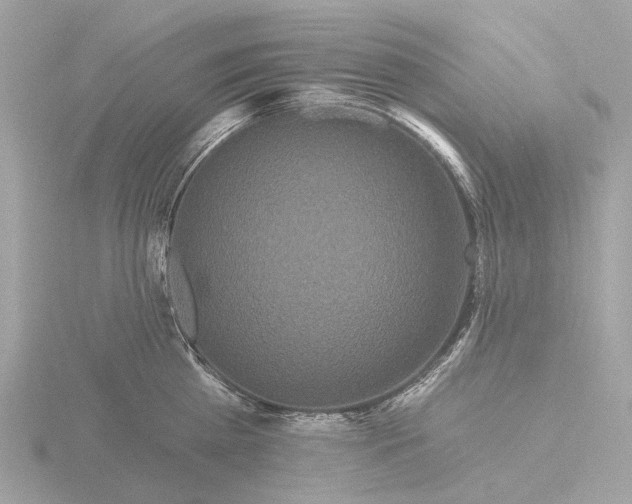 X0000116430809200912221504