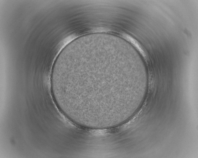 X0000116430810200912221504