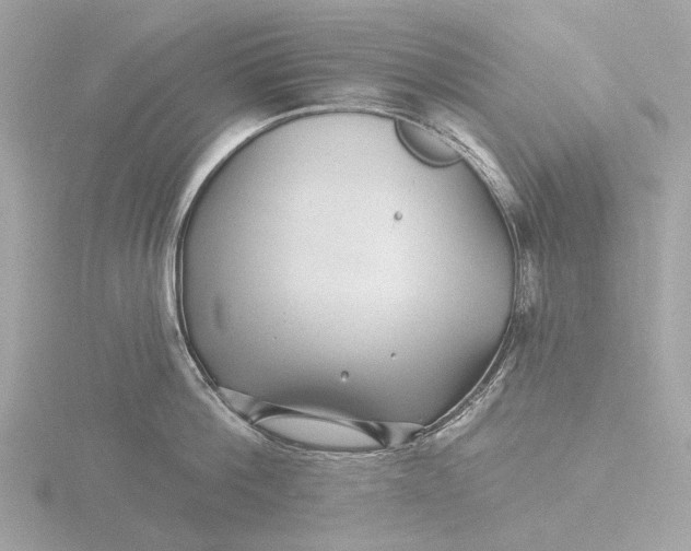 X0000116430812200912221504