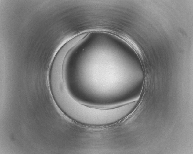 X0000116430813200912221504