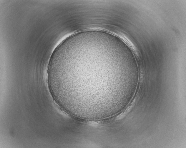 X0000116430814200912221504