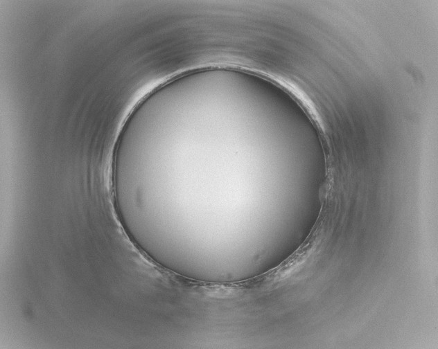 X0000116430815200912221504