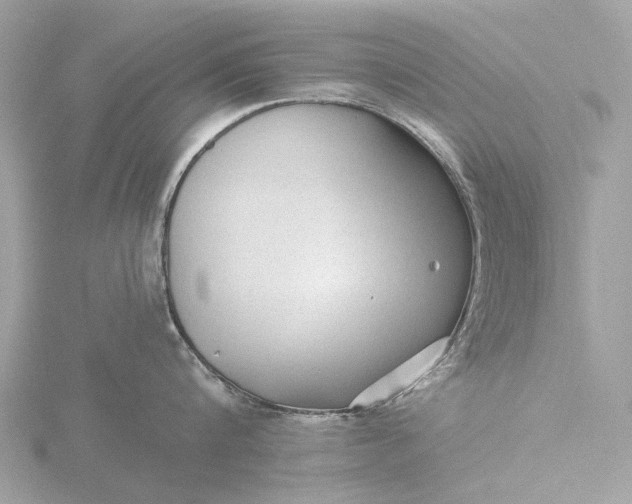 X0000116430816200912221504