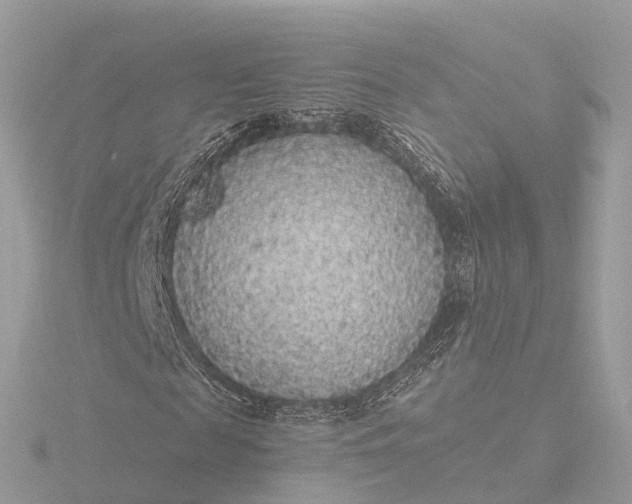 X0000116430817200912221503