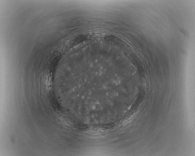 X0000116430818200912221503