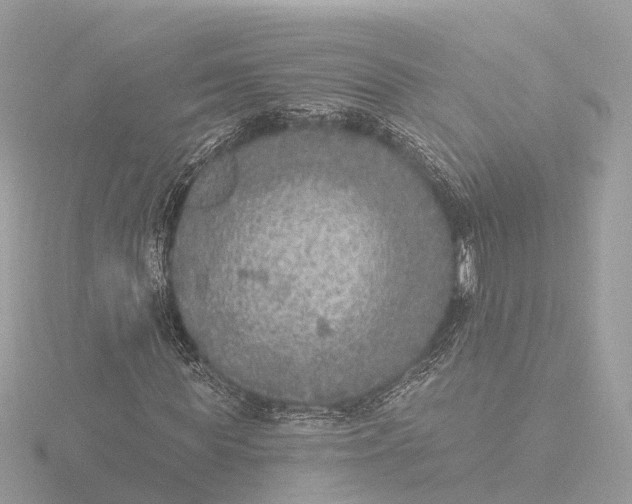 X0000116430819200912221503