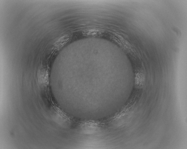 X0000116430820200912221503