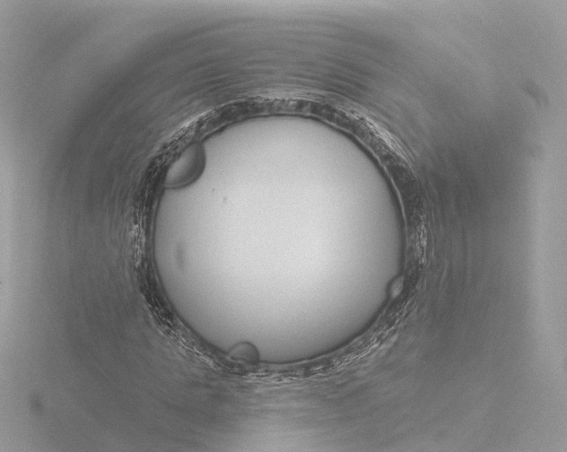 X0000116430821200912221503