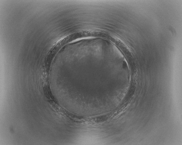 X0000116430822200912221503