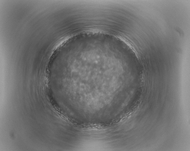 X0000116430823200912221503