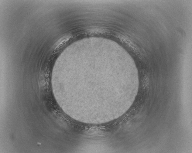 X0000116430824200912221503