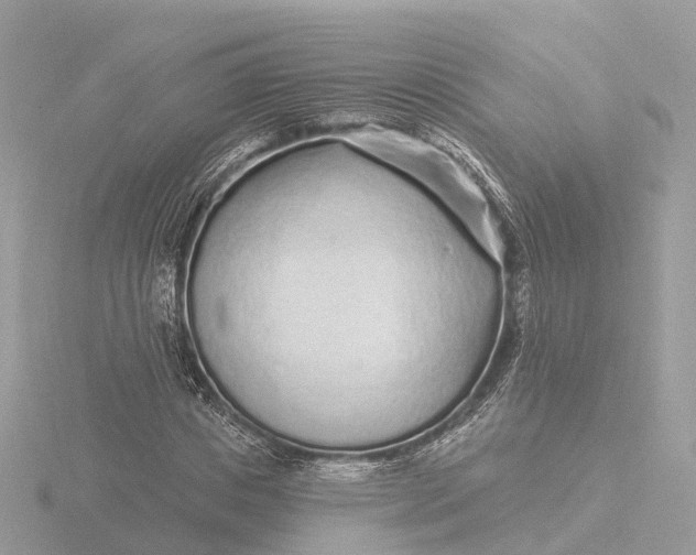 X0000116430825200912221503