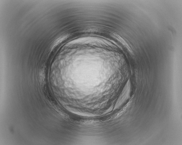 X0000116430826200912221503