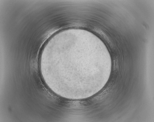 X0000116430828200912221503