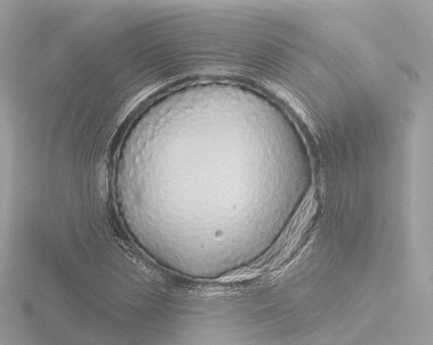 X0000116430829200912221503