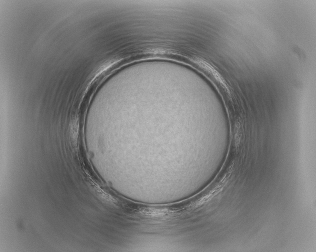 X0000116430831200912221503