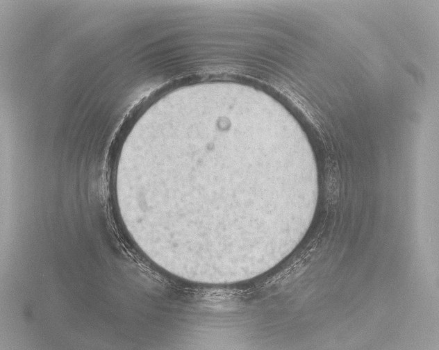 X0000116430832200912221503