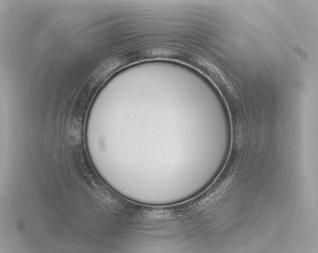 X0000116430833200912221503