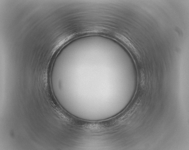 X0000116430834200912221503