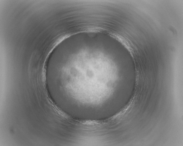 X0000116430835200912221503