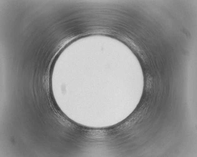 X0000116430836200912221503