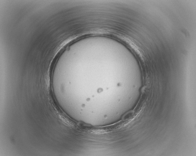 X0000116430837200912221503