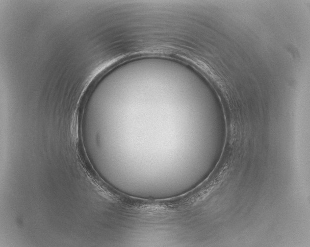 X0000116430838200912221503