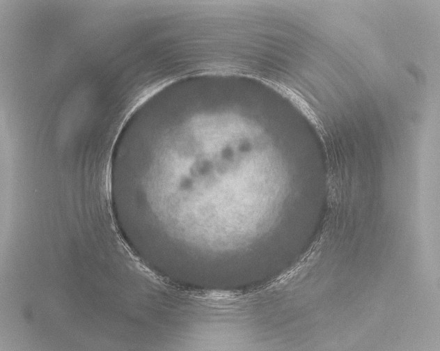 X0000116430839200912221503