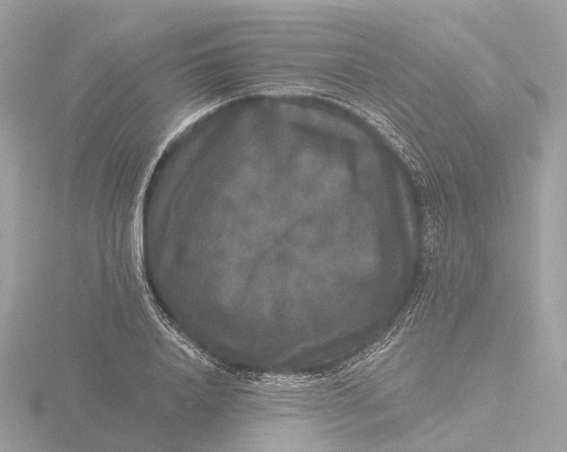 X0000116430840200912221503