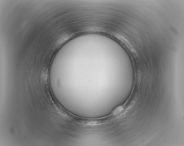 X0000116430841200912221503