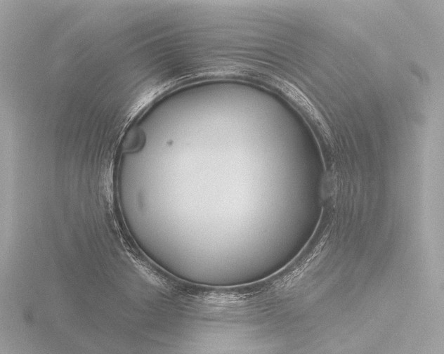 X0000116430842200912221503