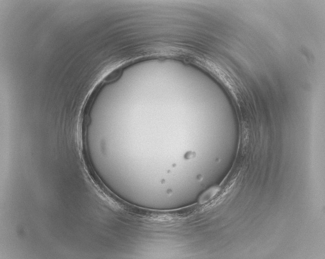 X0000116430843200912221503