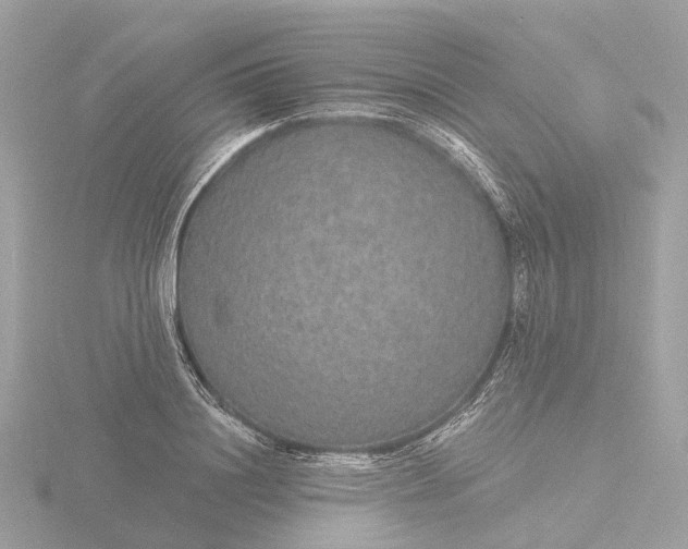 X0000116430844200912221503